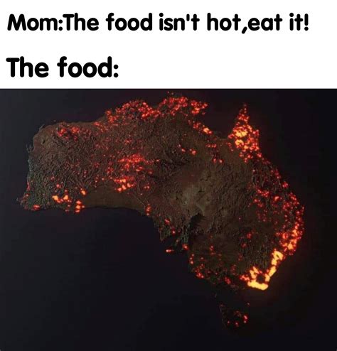 The food is burning : r/memes