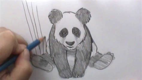 Realistic Panda Drawing Easy - Element