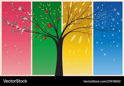 Seasons spring summer autumn winter Royalty Free Vector