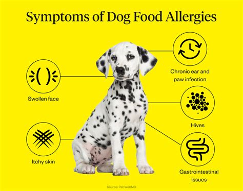 How Long Do Symptoms Of Dog Allergies Last: Unveiling The Duration