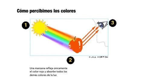 ¿Sabes cuántos colores ve el ojo humano?