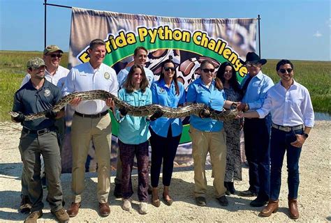 Florida Python Challenge 2024: Win Prizes for Tackling Invasive Burmese ...