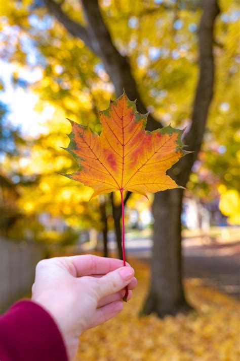 Ultimate Guide To Enjoying Fall In The Finger Lakes