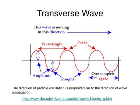 Diagram Of Transverse Wave