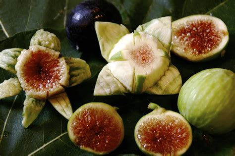 Aura Agape: Benefits of Figs: The Inverted Flower