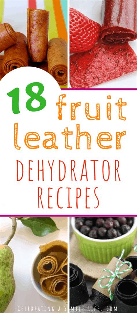 18 Amazing Fruit Leather Dehydrator Recipes - Salt in my Coffee