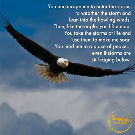 Soaring Above the Storms: A Prayer for Focus | Eagles quotes ...