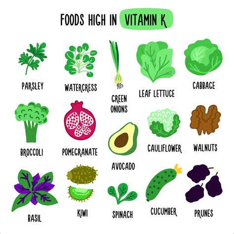 Foods High in vitamin K. Vector illustration with healthy foods rich in ...