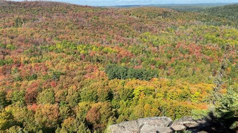 Fall colors in Minnesota: Where to see the best fall foliage | FOX 9 ...