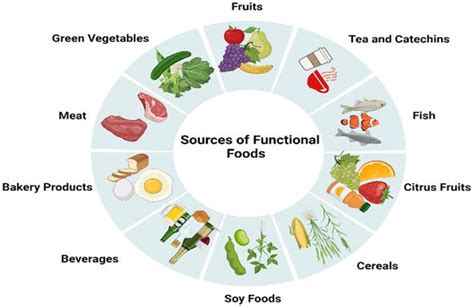 An Overview of Functional Food | IntechOpen