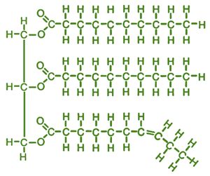 What are Lipids? - Structure, Classification, Properties, Functions ...