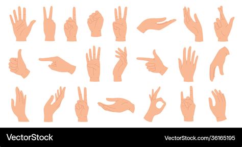 Hands poses female hand holding and pointing Vector Image