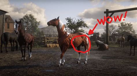 Red Dead Redemption 2 Goes Balls In on Realistic Horse Models - Push Square