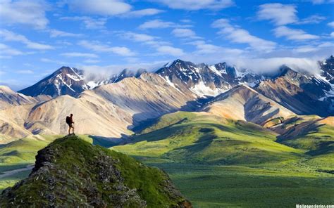 HD Denali National Park Wallpaper | Download Free - 140568