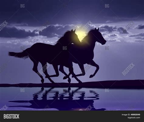 Horses Running Sunset Image & Photo (Free Trial) | Bigstock