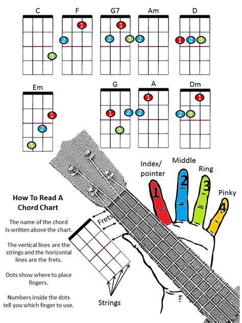 Ukulele - Kannapolis Intermediate School | Ukulele chords, Ukelele ...