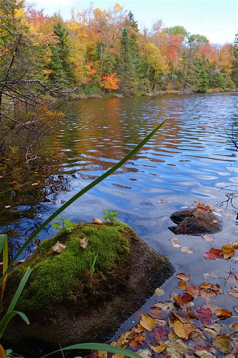 September Colors Photograph by Sandra Updyke - Fine Art America