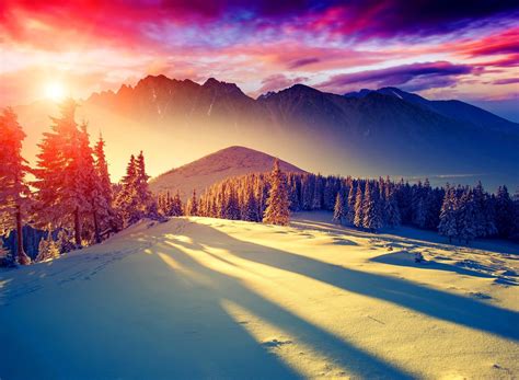 Winter Sunrise Wallpaper