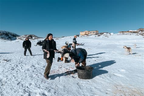 Program at Igloo Lodge - World of Greenland