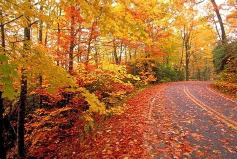 Pennsylvania's fall foliage: Complete guide for 2018 leaf-peepers ...