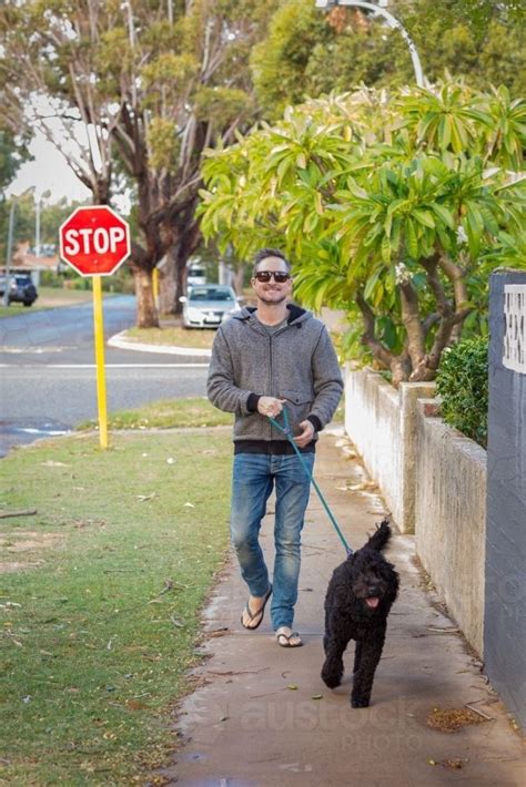 Man walking black dog along suburban street : Austockphoto | Dog ...