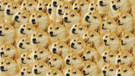 66 Doge Meme Wallpaper 4k