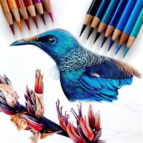 40 Beautiful Colored Pencil Drawings - Colored Pencil Art - HARUNMUDAK