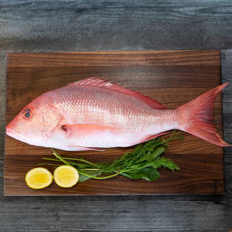 Whole Snapper - Buy Whole Snapper Online - Local 130 Seafood NJHome ...