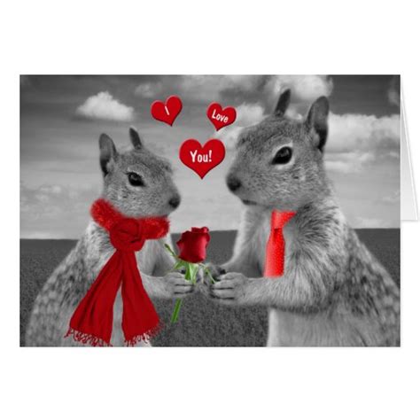 For Husband on Valentine's Day Funny Squirrel Card | Zazzle