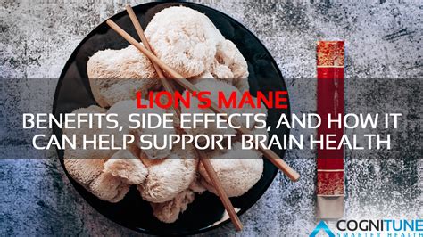 Lion's Mane - Benefits, Side Effects and How it Can Help Support Brain ...