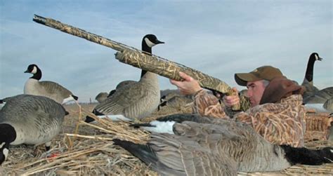 Secrets to Hunting Geese: Part One | OutdoorHub