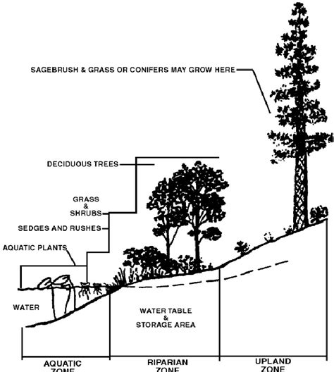 Riparian Zone defined | Download Scientific Diagram