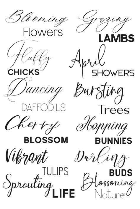 Breathtaking Calligraphy Fonts For Cricut | atelier-yuwa.ciao.jp