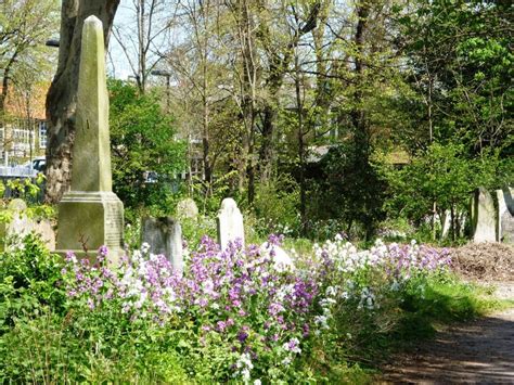 Tower Hamlets Cemetery Park Forage * | South London Botanical Institute