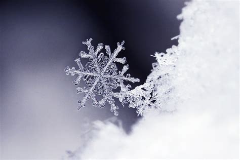 The Best Close-Ups of Snowflakes