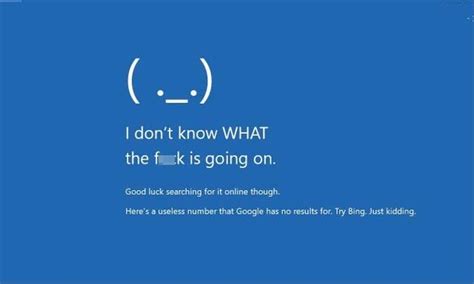 Maybe Ecosia will know | Blue Screen of Death (BSoD) | Know Your Meme