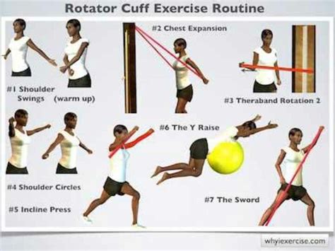 Rotator cuff exercises, Rotator cuff, Shoulder rehab exercises