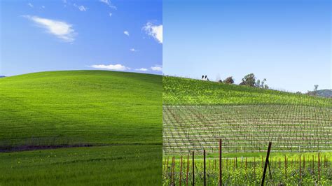 The Windows XP wallpaper 1996 vs. 2021 : r/nostalgia