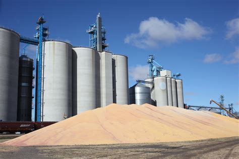 Online courses focus on grain handling, processing operations | 2018-09 ...