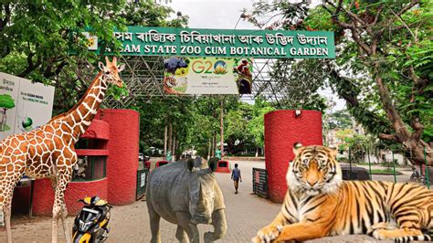 Guwahati Zoo | The Assam State Zoo Cum Botanical Garden ...