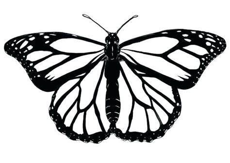 Monarch Butterfly Drawing Black And White | Free download on ClipArtMag