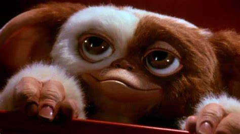 Gizmo está muy feliz en la primera imagen de Gremlins: Secrets of the ...