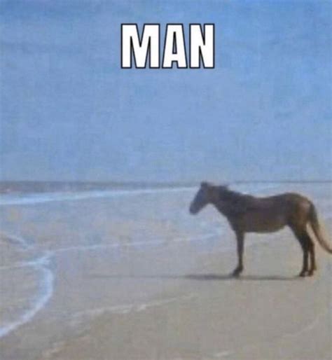 UNIMPRESSIVE → ʰᵃⁱᵏʸᵘᵘ ˣ ʳᵉᵃᵈᵉʳ - 016 | Horse meme, Funny memes, Relatable