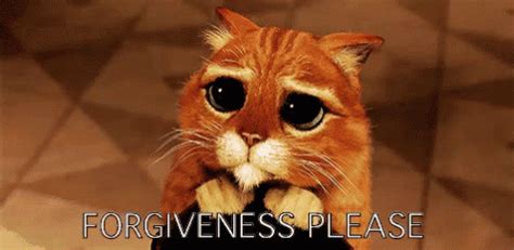 Forgiveness Please GIF - Forgiveness ForgivenessPlease Sorry - Discover ...