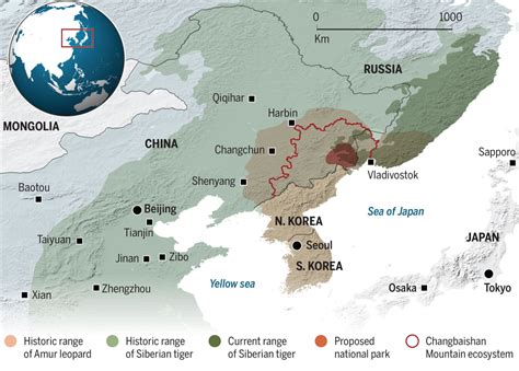 Siberian Tiger Range