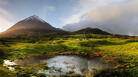 Volcano, Pico Island, Azores, Portugal - Free Nature Pictures