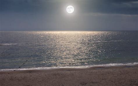 Ocean Night Moon Sky Tropical Stock Image - Image of ocean, moon: 35287489