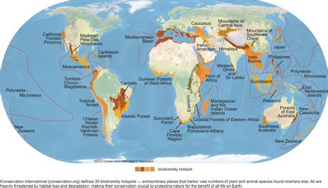 Biodiversity Hotspots | GEOG 30N: Environment and Society in a Changing ...