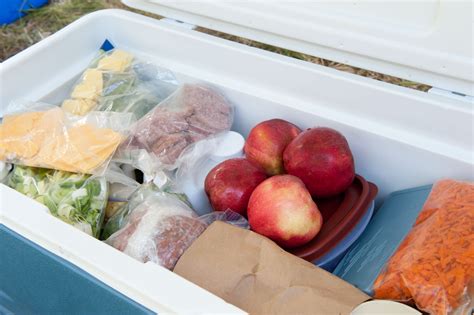 The 8 Best Ice Packs for Coolers in 2020