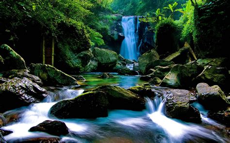 Forest Waterfall Wallpapers - Wallpaper Cave